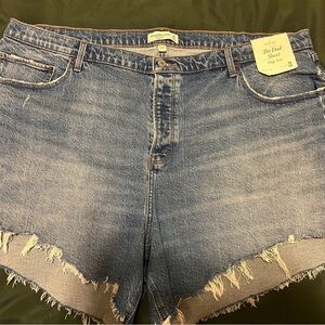 Abercrombie plus size Cutoff Distressed Denim Shorts - Light Blue